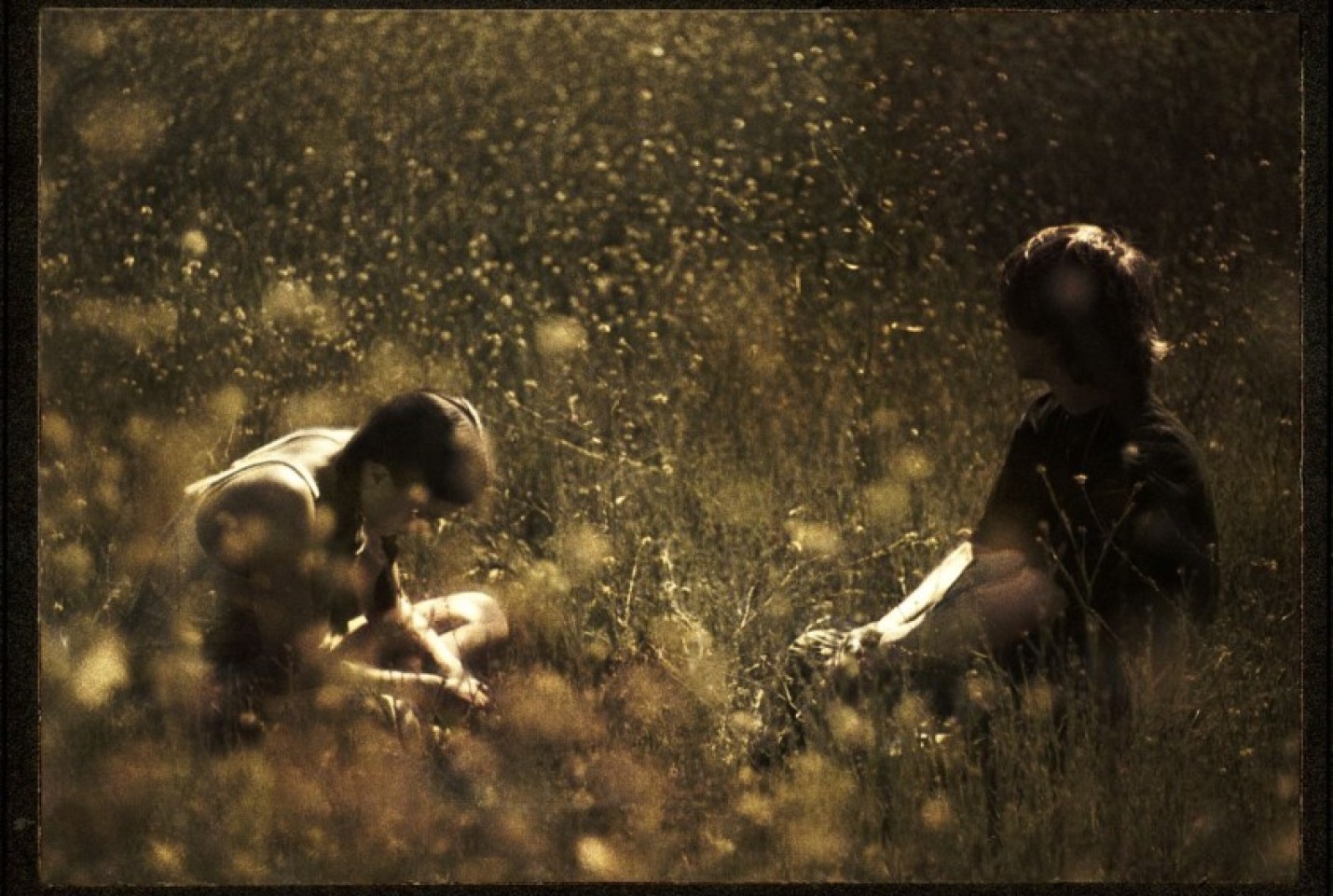 Two people sitting in a field of flowers.